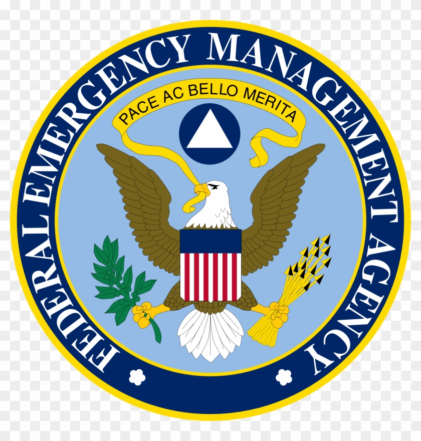 California Consulting Is Pleased To Announce The Fema - Federal Emergency Relief Administration Symbol #991395