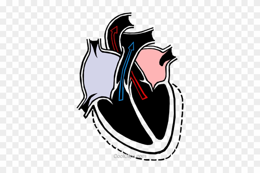 Heart Chambers Royalty Free Vector Clip Art Illustration - Beneficios De La Resistencia Aerobica #991729