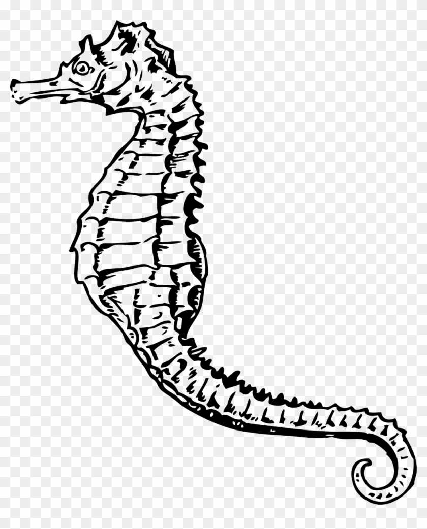 Black Clipart Seahorse - Sea Horse Clip Art #174073