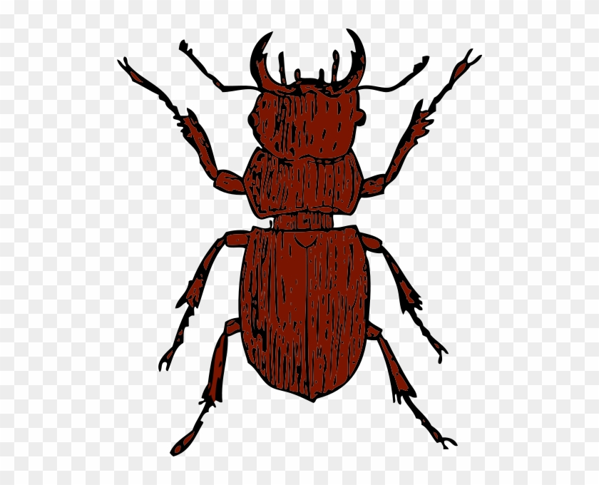 Stag Beetle Png Images - Stag Beetle Clipart #175681