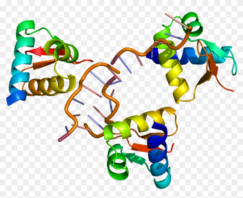 Adar Protein #175903