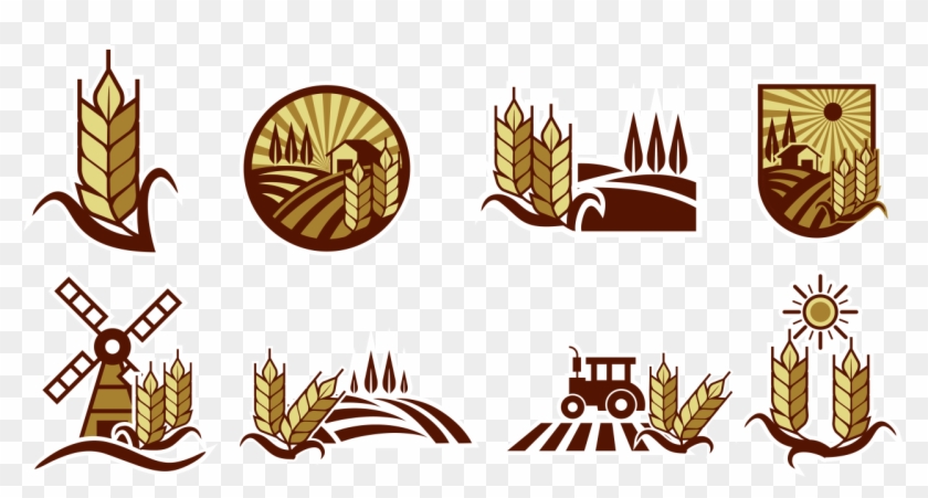 Rice Field Vector Labels - Vector Graphics #998108