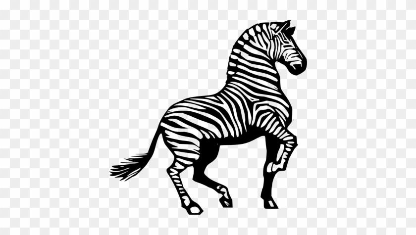 Zebra Clipart Black And White Free Clipart Images - Zebra Drawing Black And White #1004038