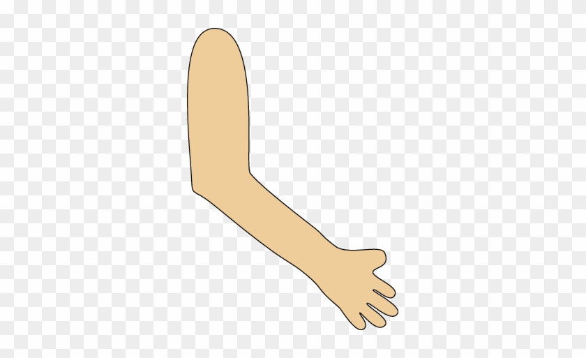 Arm - Arms Clipart #1004992