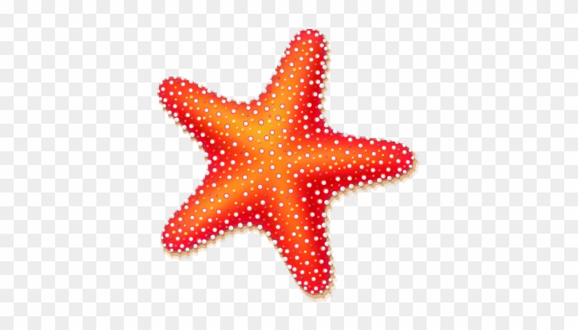 Starfish Clipart Best - Starfish #1005318