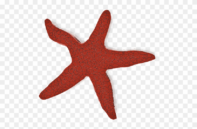 Starfish, Beach, Ocean, Marine Life, Seaside, Red, - Red Starfish Clipart #1005333