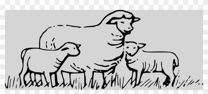 lamb clipart black and white