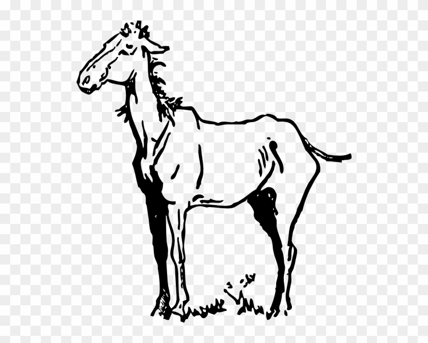 Old Horse Clip Art - Horse Clip Art #1007926