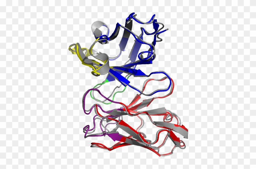 How Did You Land Your First Customer - Antibody #1008551