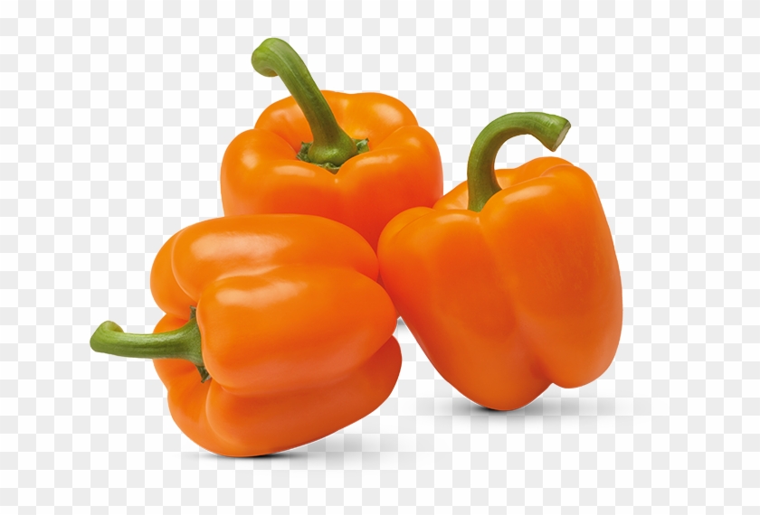 Oranje Peppers - Poivrons Orange #1011222
