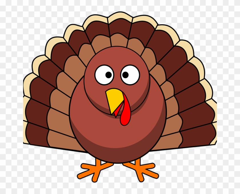 Turkey Bird Clipart Turkey Thanksgiving Poultry Free - Thanksgiving Day In Spanish #1012059