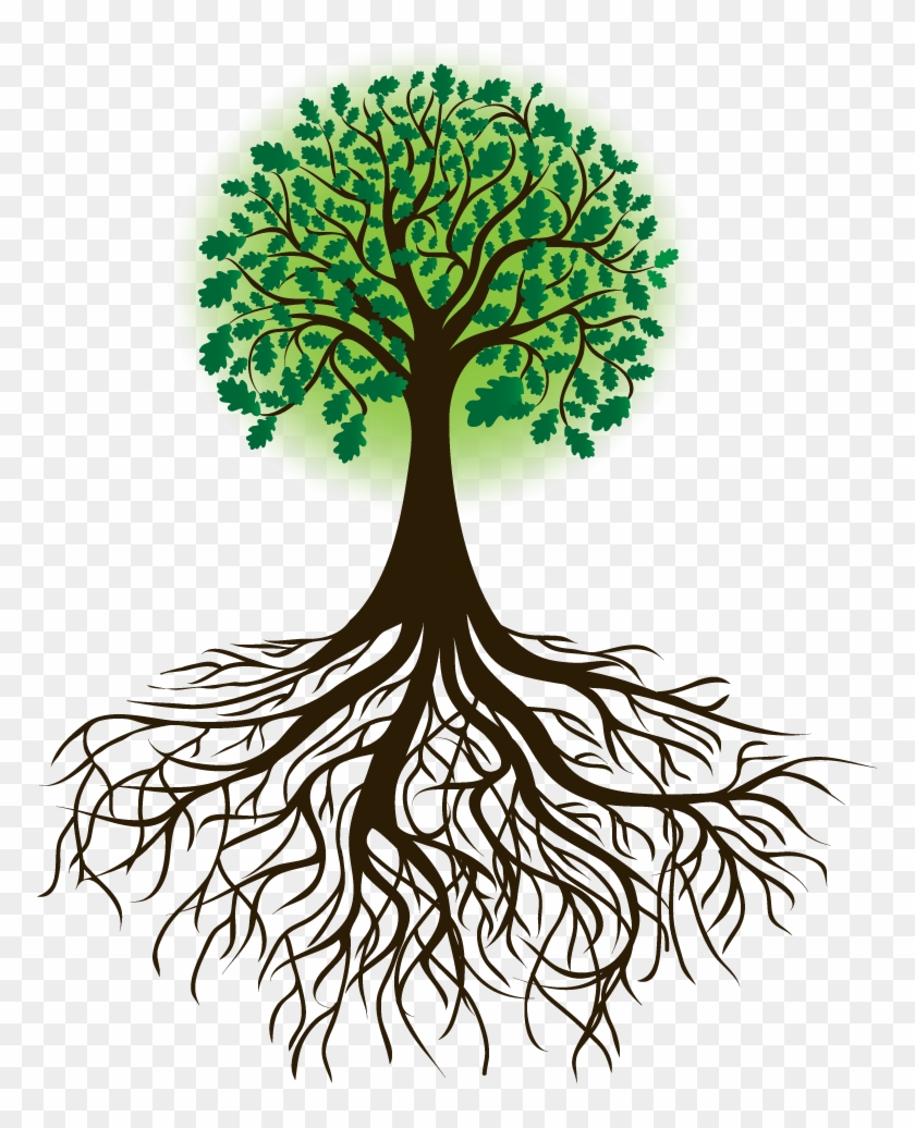 árbol raíces dibujo png