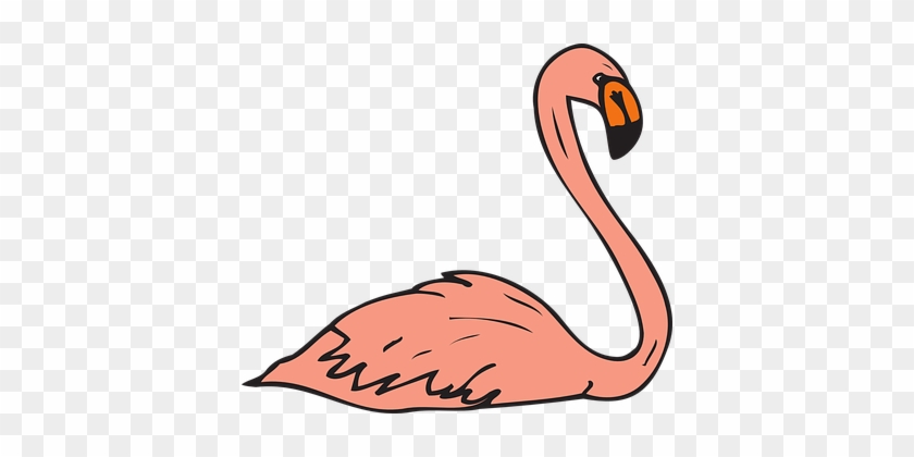 Pink, Bird, Swimming, Wings, Flamingo - Flamingo Clipart #1015746