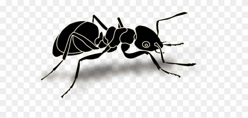 Ant With Shadow Clip Art At Clker - Transparent Ant #1016014