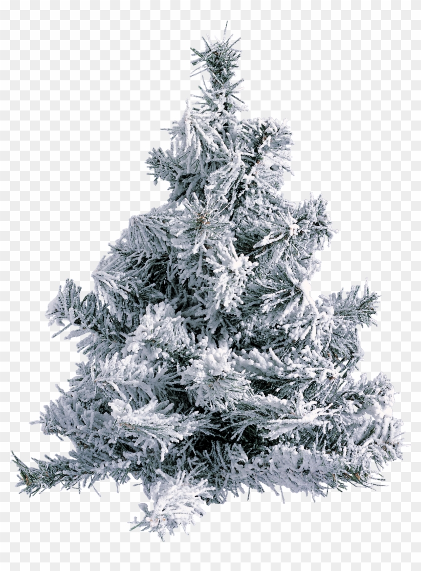 Gifs De Arboles De Navidad Png - Gifs De Arboles De Navidad Png #1016957