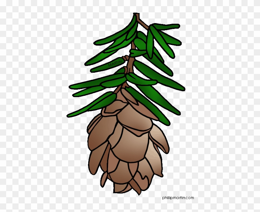 Hemlock Clipart Clipart Panda Free Clipart Images Kg0bln - Hemlock Tree Clip Art #1017392