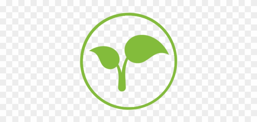 Best Grow Icon With Groe Gren - Grow Icon #1017428