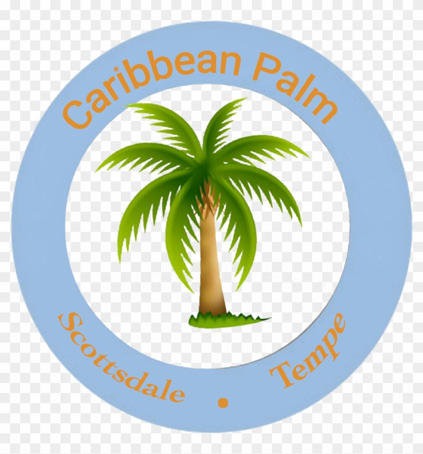 Palm Tree Clipart Caribbean Food - Palm Tree Clip Art #1018737