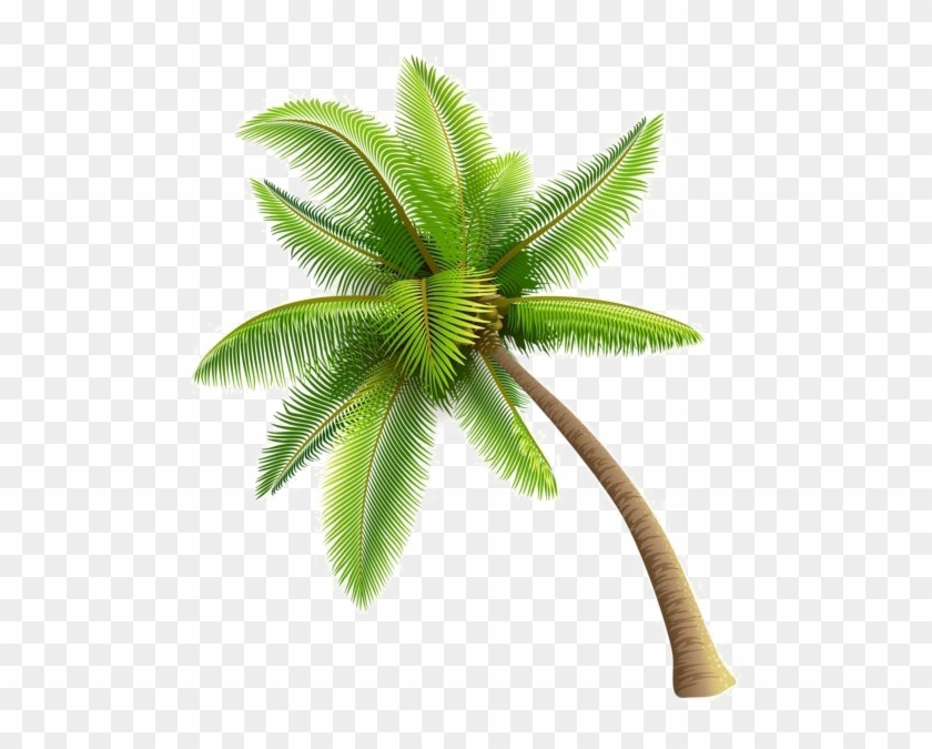 Coconut Tree Png Image Background - Palm Tree Gif Transparent - Free