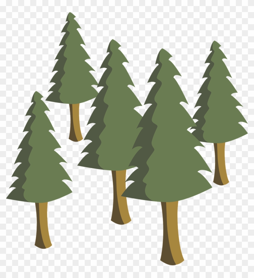 Trees Pines Pine Trees Tree Png Image - Pinos Png #1018821