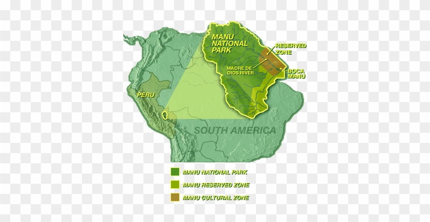 Manu National Park Reserved Zone Program - Manu National Park Peru #1018933
