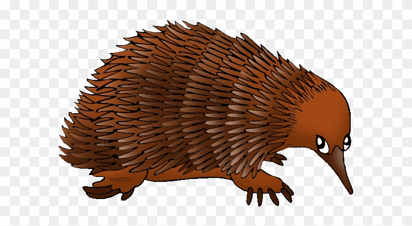 Echidna Clipart Aussie Animal - Echidna Clipart #1019213