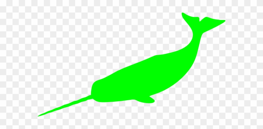 Narwhal Stencil #1020906