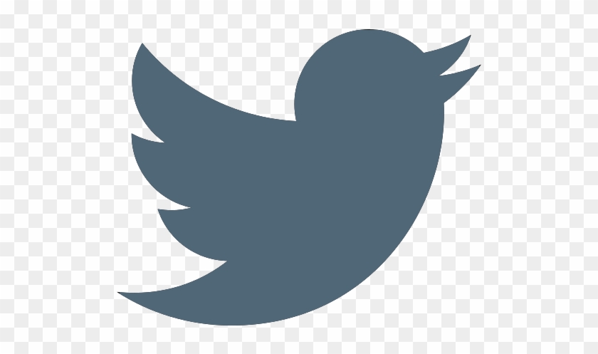 Twitter Logo - Transparent Twitter Logo Color #1022836