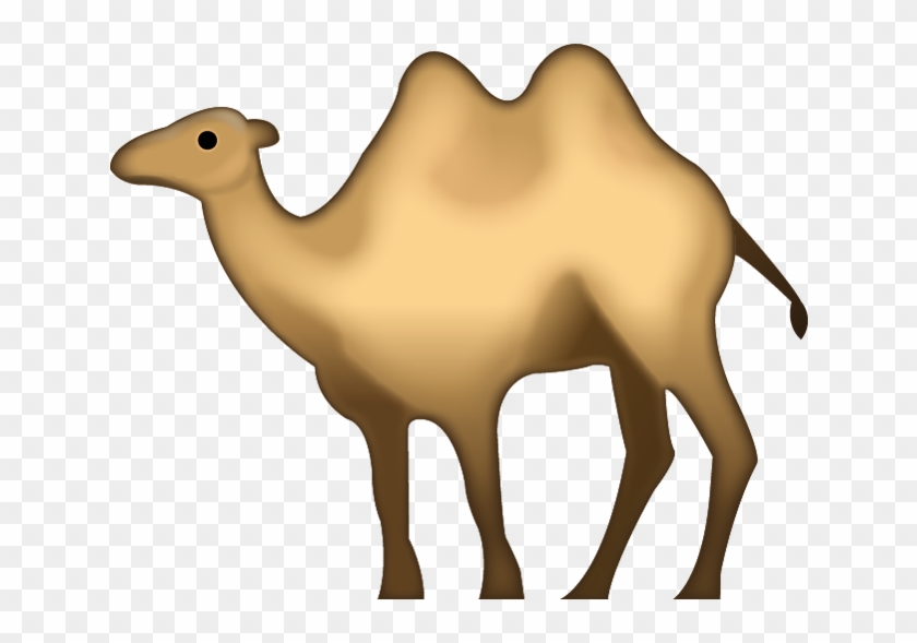 Camel Animal Transparent Png Images Free Download 004 - Camel Emoji Png #1025673