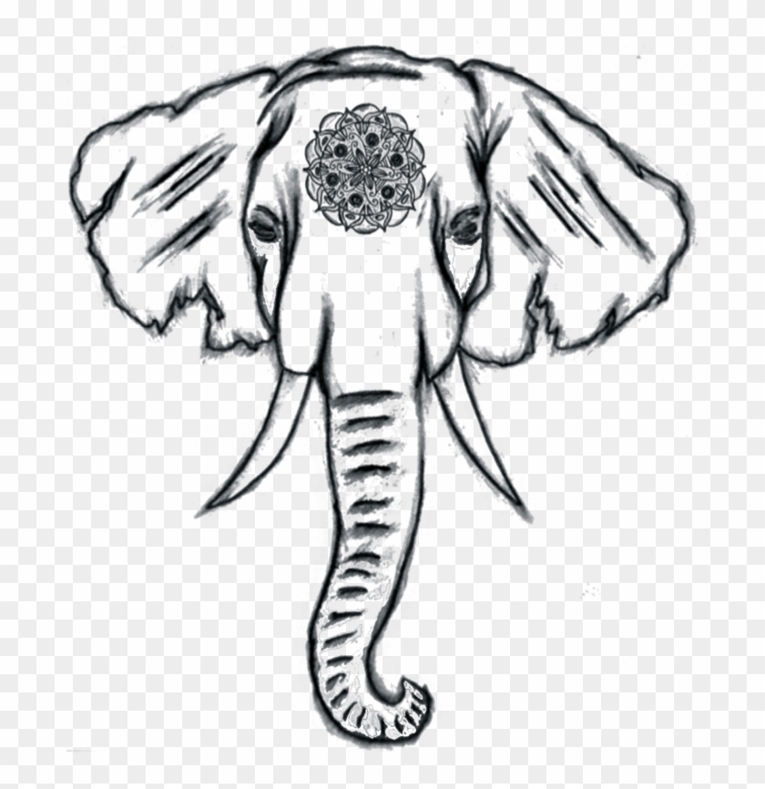 Learn How to Draw an Elephant (Zoo Animals) Step by Step : Drawing Tutorials
