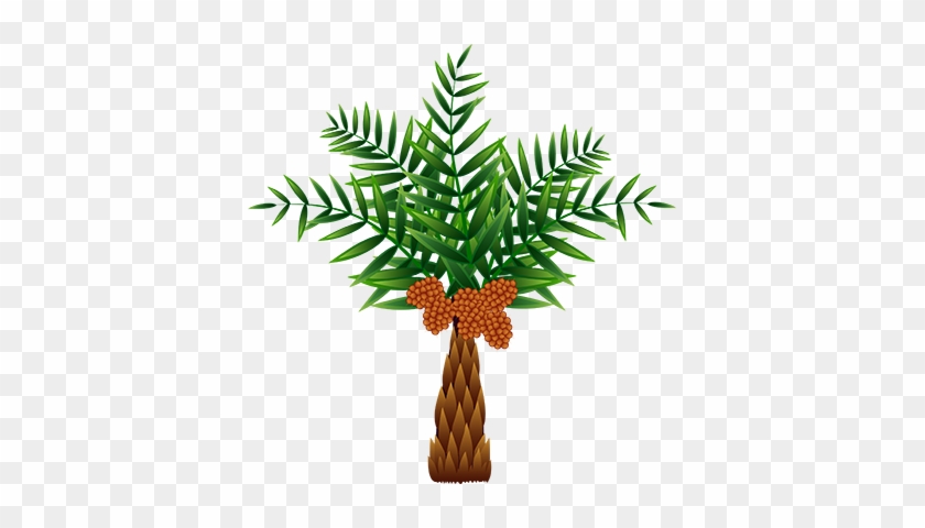 oil palm tree clip art
