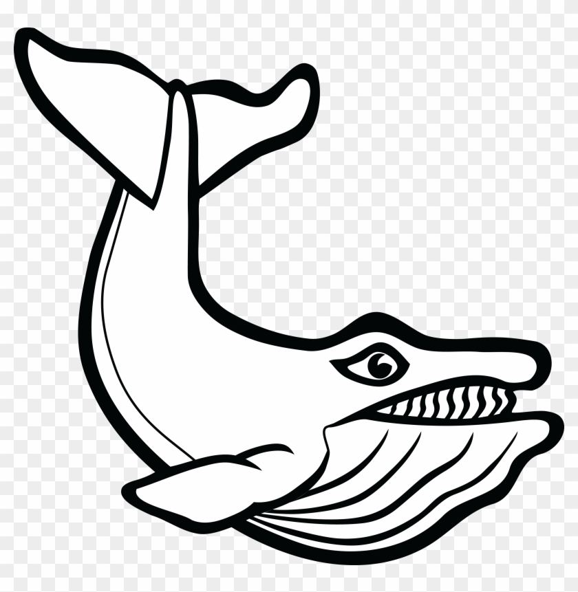 Free Clipart Of A Whale - Cetacea #1029278