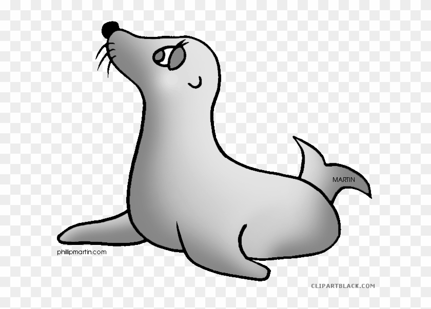 Seal Animal Free Black White Clipart Images Clipartblack - Clip Art #1030158