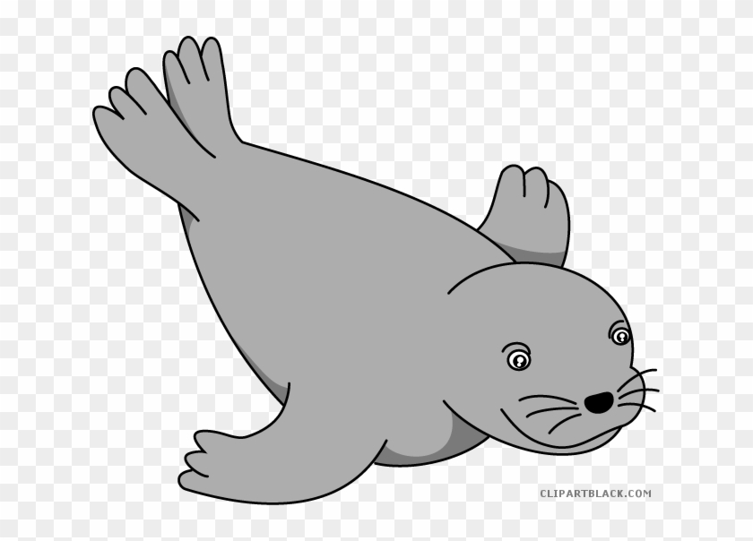 Seal Animal Free Black White Clipart Images Clipartblack - Clip Art #1030164