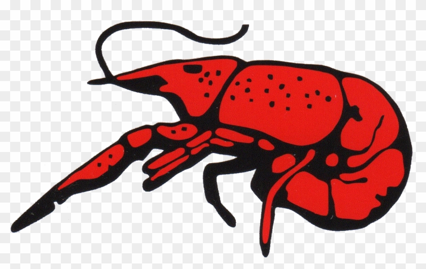 「crab Logo」的圖片搜尋結果 - Perlis Clothing #1031440