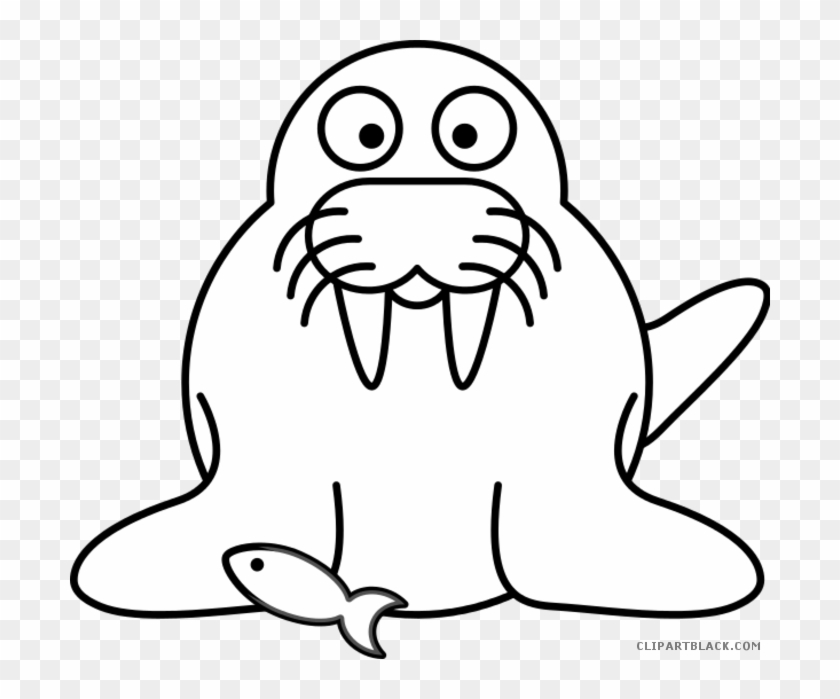 Walrus Animal Free Black White Clipart Images Clipartblack - Walrus Cartoon #1032313