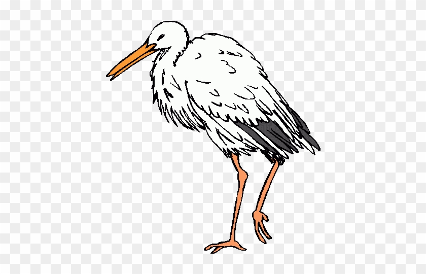 Awesome Clipart Stork Stork Clip Art Clipart Best - Stork #1032563