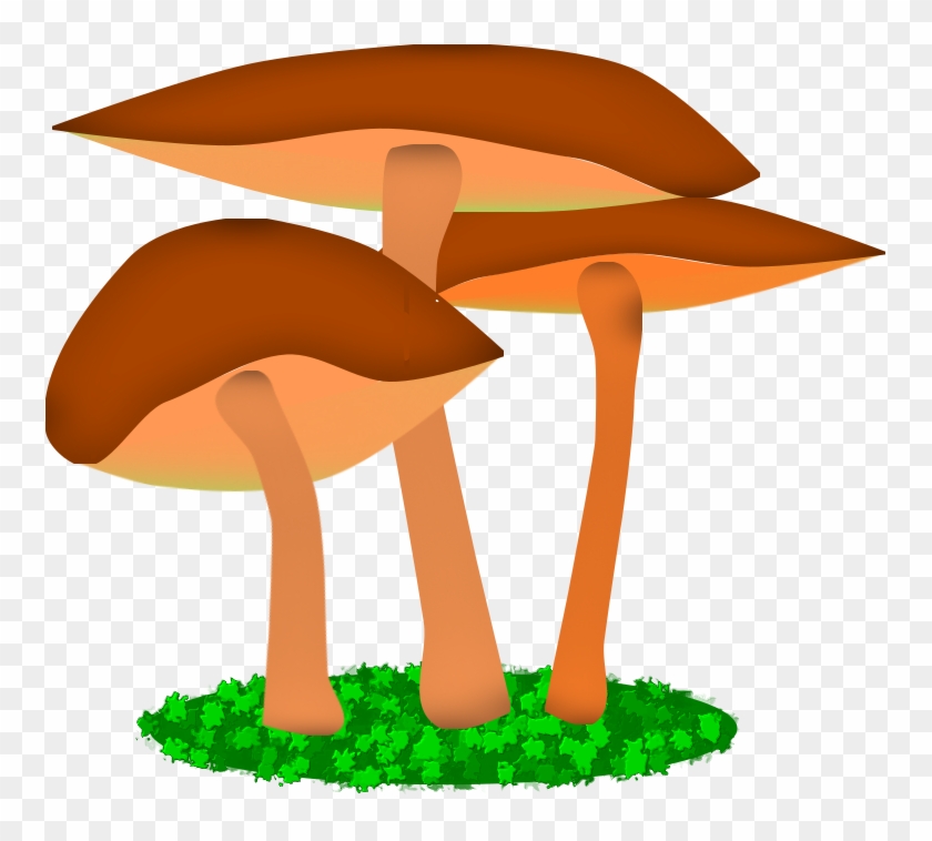 Illustration Friday - “mushroom” - Illustration #1039081