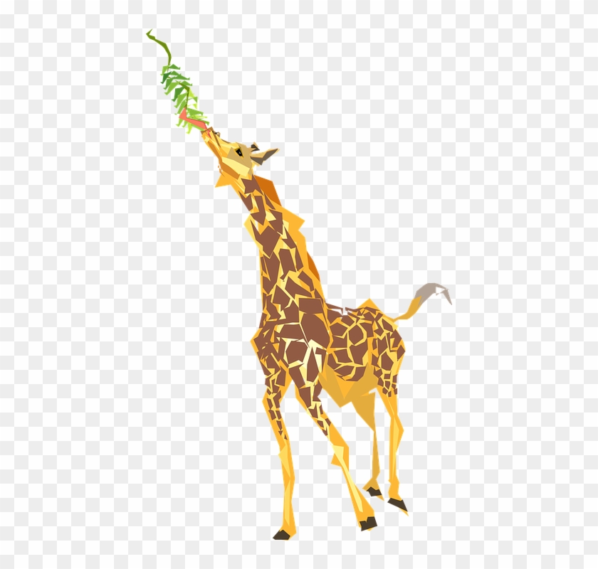 Vintage Giraffe Cliparts 8, Buy Clip Art - Giraffe Eating Leaves Cartoon #1039550