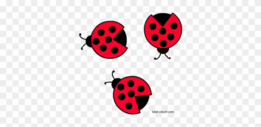 Free Ladybugs Clip Art Png Image - Video Camera Clip Art #1040630