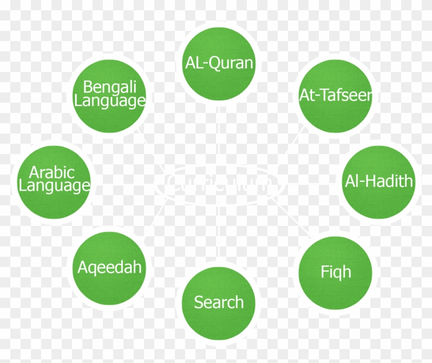 Curriculum - Circle #1042289