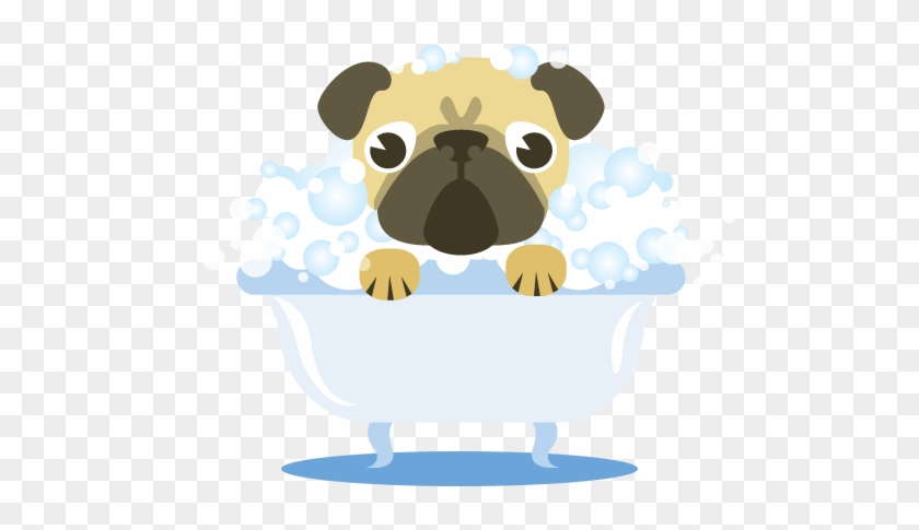 Pin Dog Swimming Clipart - Pug #1042885