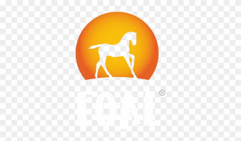 Logo Logo Logo - Stallion #1047294