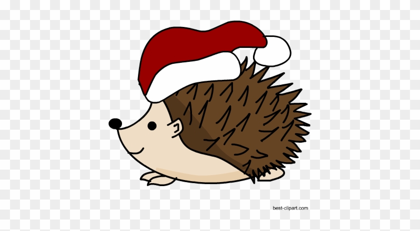 Free Christas Hedgehog Clip Art - Hedgehog #1047918