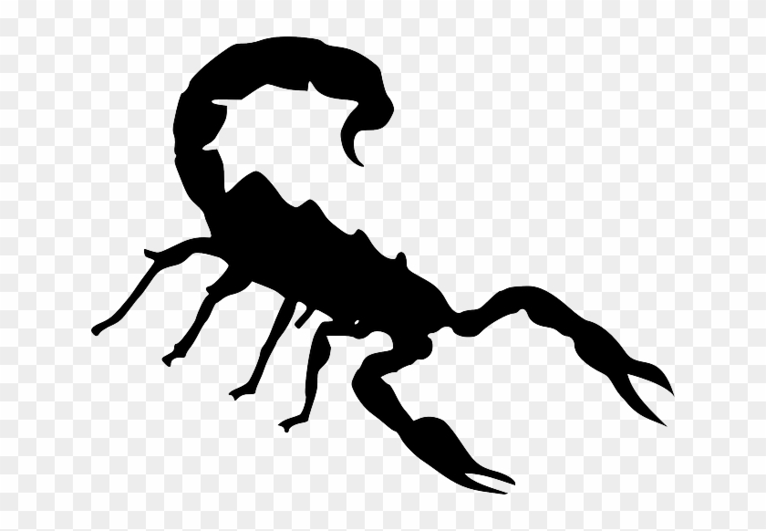 Clipart Info - Scorpion Clipart #1048010