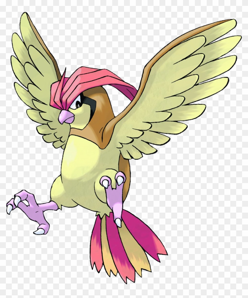 017 - Pidgeotto - Pokemon Pidgeotto #1052654