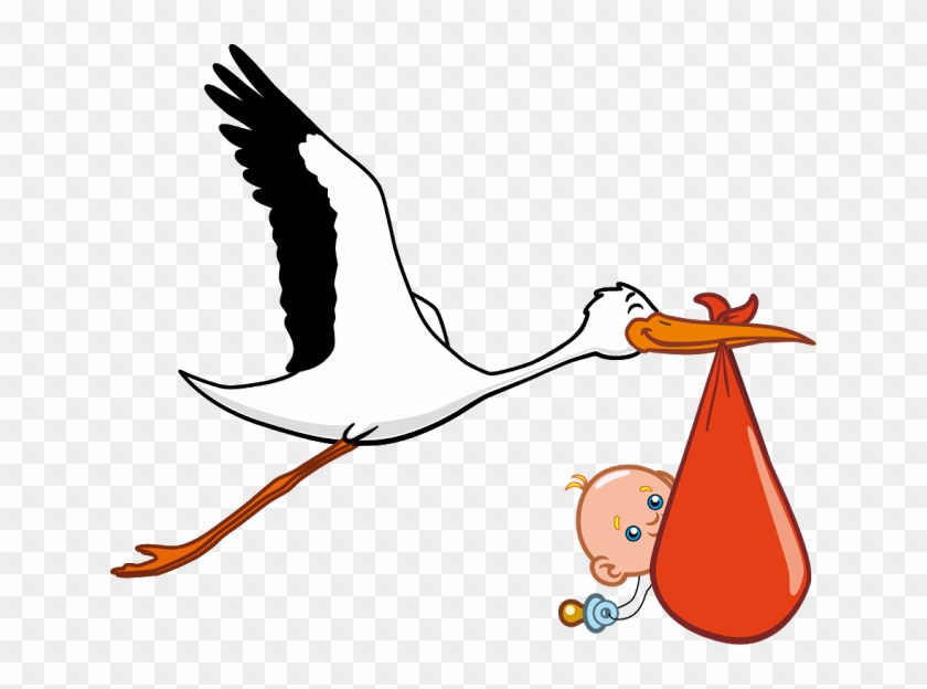 Baby Stork Clip Art