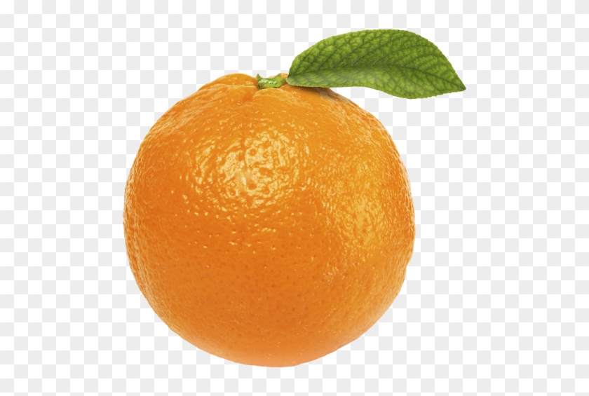 Free Orange Fruit Png - Orange With No Background - Free Transparent PNG  Clipart Images Download