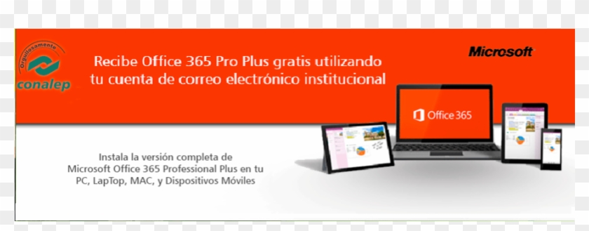 123456 - Office 365 Conalep #1060908