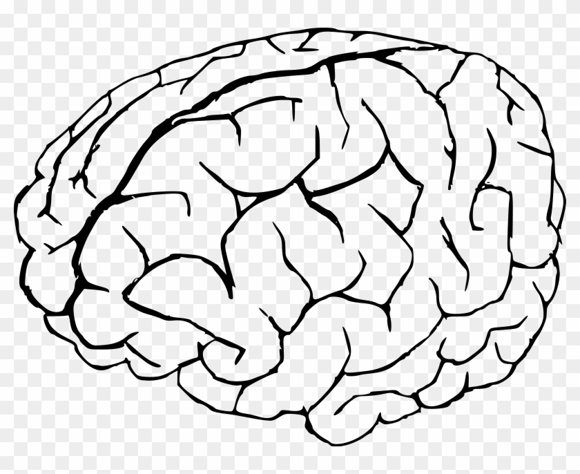 Knowledge Clip Art Download - Brain Coloring Page #1061482